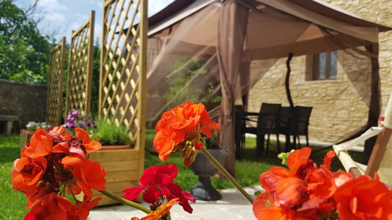 San Paterno B&B Rapolano Terme Extérieur photo