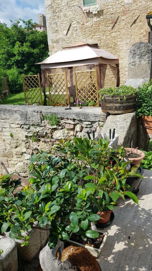 San Paterno B&B Rapolano Terme Extérieur photo
