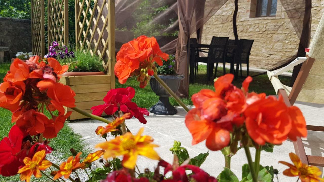 San Paterno B&B Rapolano Terme Extérieur photo