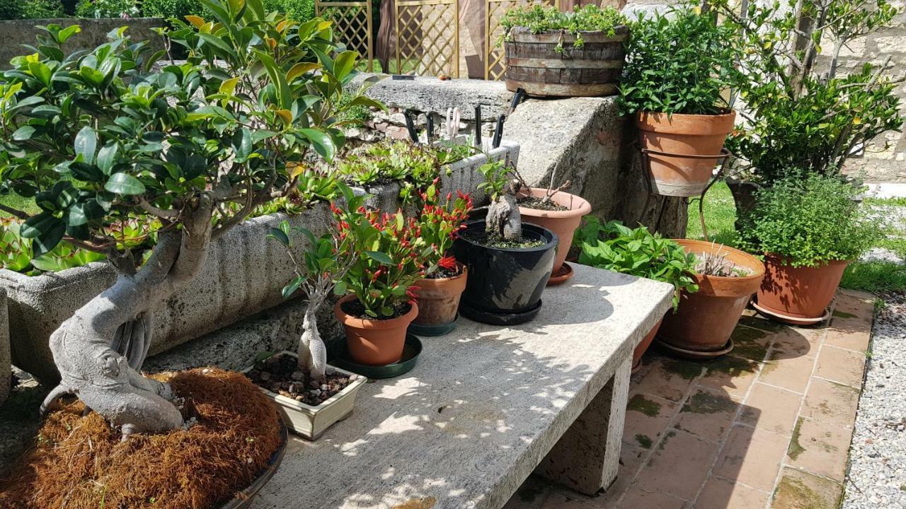 San Paterno B&B Rapolano Terme Extérieur photo