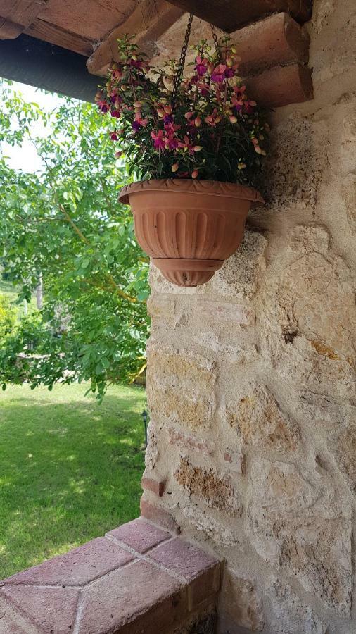 San Paterno B&B Rapolano Terme Extérieur photo